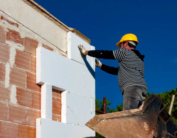 Best Insulation Maintenance and Repair in Villa Ridge, MO
