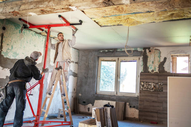 Best Types of Insulation in Villa Ridge, MO