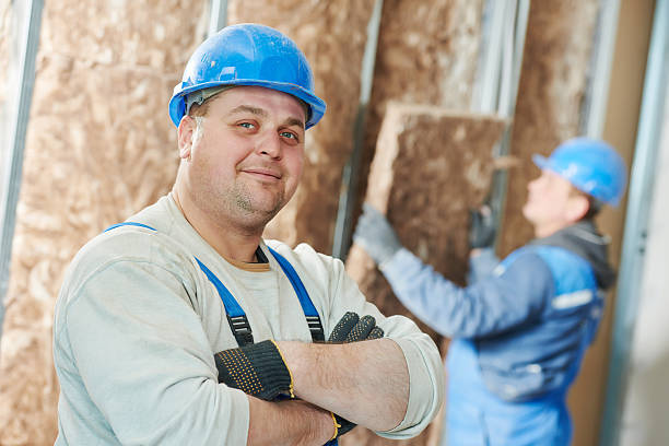 Best Residential Insulation in Villa Ridge, MO