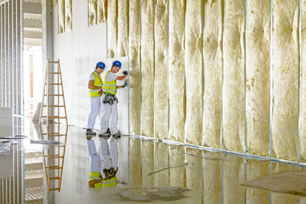 Best Insulation for Specific Applications in Villa Ridge, MO